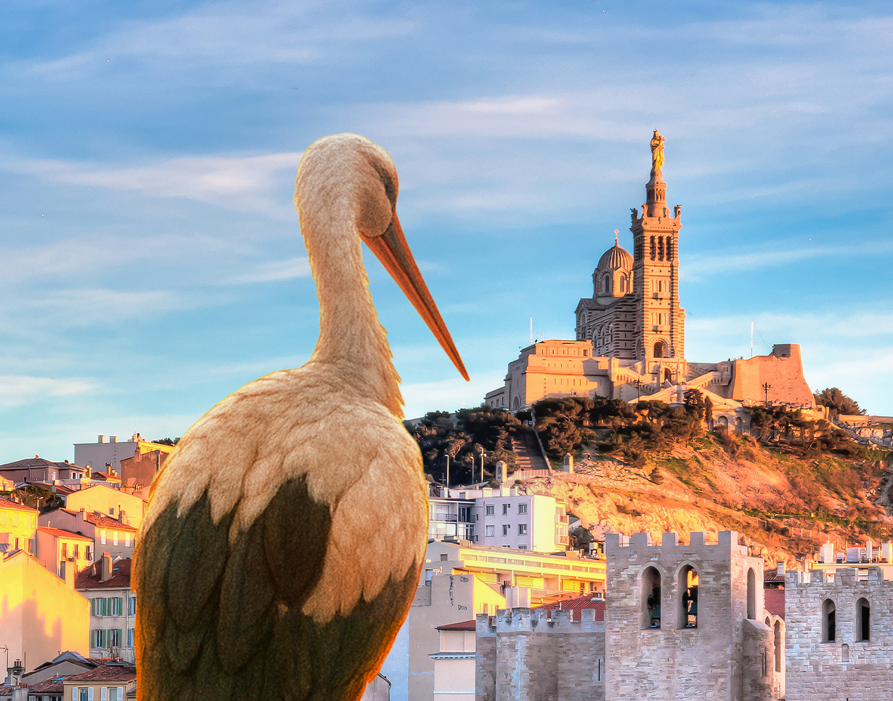 Image de l'article HUMAN débarque à Marseille