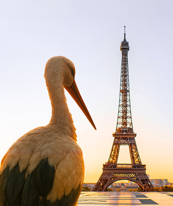 Image de l'article HUMAN ouvre sa première agence à Paris