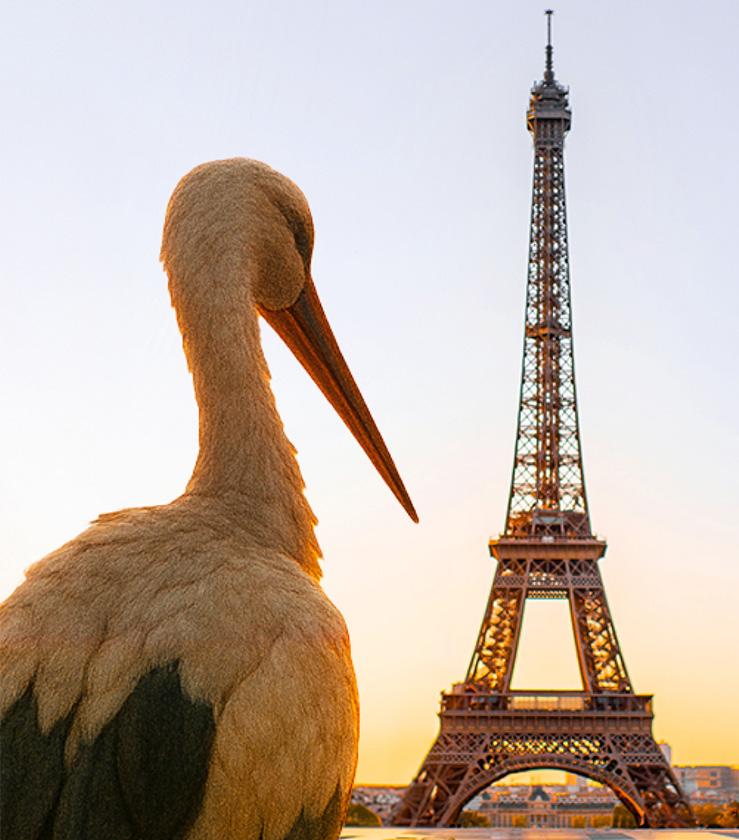 Image de l'article HUMAN ouvre sa première agence à Paris
